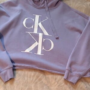 Calvin Klein Purple Hoodie